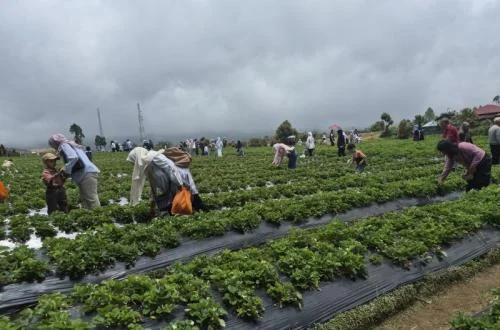 Polres Kerinci Siagakan Personel Jamin Keamanan Dan Kenyamanan Wisatawan Libur Lebaran